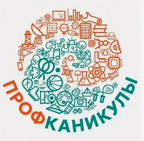 Профканикулы